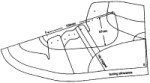 Shoe Pattern